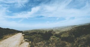 Email Nurturing : Comment Convertir vos Prospects en Clients (Guide 2026)